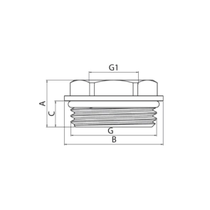 Футорка з кільцем ущільнювача Koer KF.F0810-R - 1"x3/4" (KR5048) №2