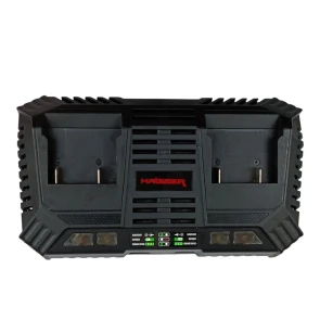 Зарядное устройство для HS QSC201-2B (HAISSER) №1