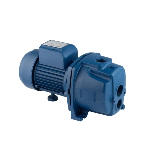Насос поверхностный Forwater JDW750 Нmax=52м, Qmax=50л/мин, P=750Вт корпус Чугун с выносным инжектором №4