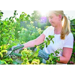 Секатор акумуляторний Bosch EasyPrune (3.6 В, 25 мм) (06008B2000) №5