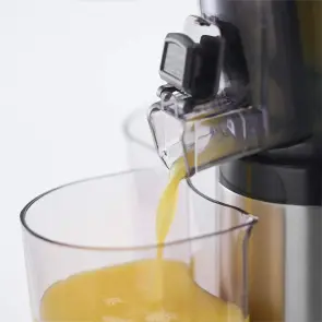 Соковижималка Russell Hobbs 25170-56 Slowjuicer №7