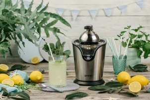 Соковыжималка Gorenje цитрус-пресс 100Вт, металл №3
