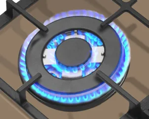 Варочная поверхность Hansa газовая на стекле, 59см, чугун, бежевый №5