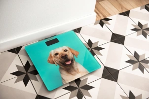 Ваги Ardesto підлогові Dog, 150кг, AAAx2 в комплекті, скло, багатокольорові №3
