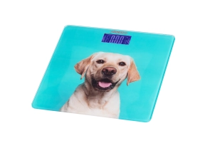 Ваги Ardesto підлогові Dog, 150кг, AAAx2 в комплекті, скло, багатокольорові №5