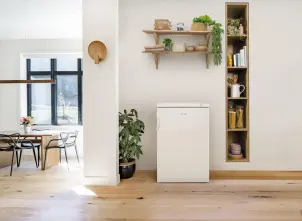 Морозильна камера Gorenje, Висота - 84.5см, Глибина-57,5 см, 85л, А++, ST, 4 кг/24 г, білий №5