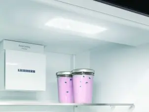 ХолодильникLiebherr встроенный с нижн. мороз., 193.8x55.9х54.6, холод.отд.-215л, мороз.отд.-70л, 2дв., A++, NF, диспл внутр., белый №5