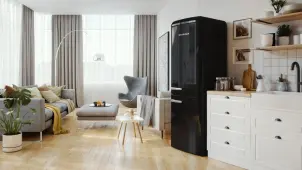 Холодильник с нижн. мороз. камерой Gorenje, 194x66x60см, 2 двери, 204(96)л, А++, Retro, NoFrost+, Внутр. Диспл, Зона св-ти, черный №9