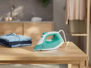 Праска Electrolux, 2200Вт, 250мл, паровий удар 90гр, нерж. сталь, зелено-білий №8