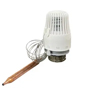 228821 Термоголовка з виносним датчиком М30х1,5, 30-70С Tervix Pro Line TR 2 №1