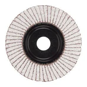 Диск пелюстковий SLC50/125G60 ALUMINIUM 125 мм / зерно 60 (заказ кратно 10 шт) №2