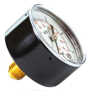 Манометр Tervix Pro Line 50 0-6 бар 1/4" акс. №4