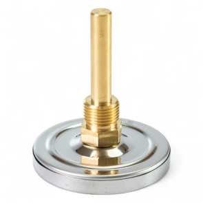 Термометр Bith Tervix Pro Line 80/50 0-120С 1/2" акс. №3