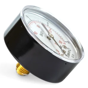 Манометр Tervix Pro Line 63 0-10 бар 1/4" акс. №5