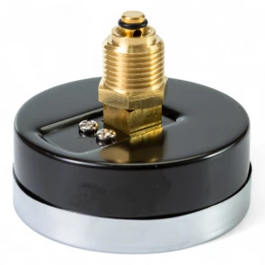 Термоманометр Tervix Pro Line 80/0-10 бар, 0-120 С акс., с монтажным клапаном R1/2" №3