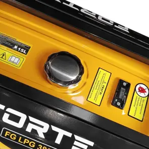 Генератор бензо-газовий Forte FG LPG 3800 №6