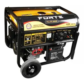 Генератор бензо-газовий Forte FG LPG6500E №1