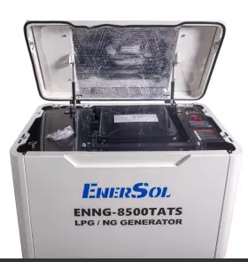 Генератор газовый EnerSol ENNG-8500TATS №6