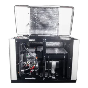 Генератор газовый EnerSol ENNG-13000TATS №2