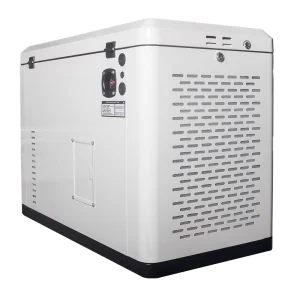 Генератор газовый EnerSol ENNG-13000TATS №4