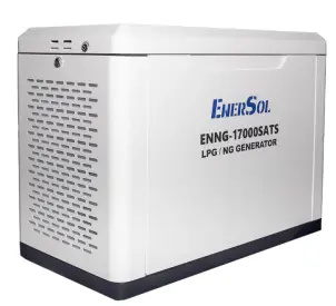 Генератор газовий EnerSol ENNG-17000SATS №5