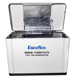 Генератор газовый EnerSol ENNG-17000TATS №2