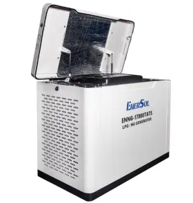 Генератор газовый EnerSol ENNG-17000TATS №3
