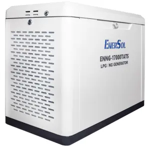 Генератор газовый EnerSol ENNG-17000TATS №4