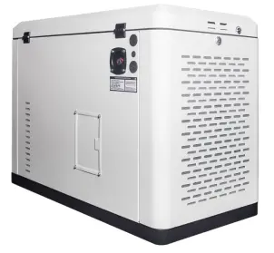 Генератор газовый EnerSol ENNG-17000TATS №5
