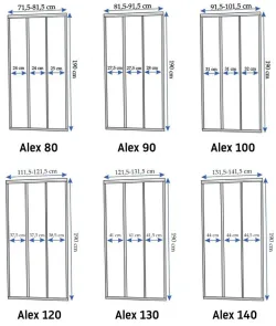 Душові двері REA ALEX 100 CHROME №6