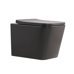 Унітаз підвісний Tern Ultra Quiet 490×365×325 мм, Anthracite, з сидінням Slim Duroplast / Soft-close / Quick Release QT17332303ASAN Qtap №1