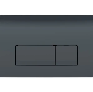 Кнопка зливу Delta50 115.119.DW.1 чорний Geberit №2