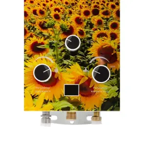 Газова колонка дим. Sabio 10 л GP-sunflower (JSD20-AG213) №4