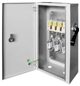 Ящик ЯРП-100А, рубильник разрывной BP32-31B31250 IP31 №3
