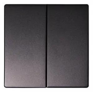Клавиша e.lux.11021L.pn.anthracite двойная "антрацит" №1