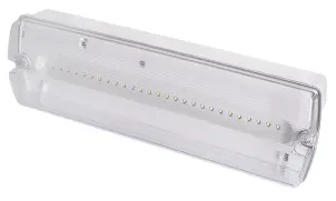 Светильник аварийный e.emerg.500L.led.Li.3h.IP65, постоянный, 3 часа №1
