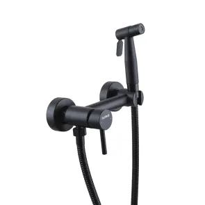 Смеситель гигиенический Globus Lux ALPEN SBT-6BB-106MIX №1