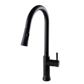 Змішувач для кухні Globus Lux ALPEN SBT1-2033-BB №1