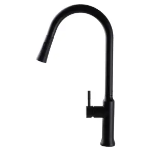 Змішувач для кухні Globus Lux ALPEN SBT1-2033-BB №2