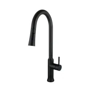 Змішувач для кухні Globus Lux ALPEN SBT1-2033-BB №4