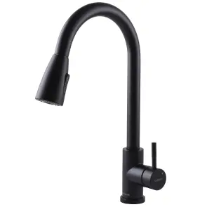 Смеситель для кухни Globus Lux ALPEN SBT1-2031-BB №1
