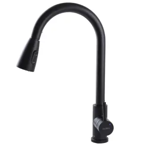 Смеситель для кухни Globus Lux ALPEN SBT1-2031-BB №3