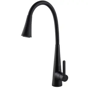 Смеситель для кухни Globus Lux LAZER Pro GLPR-203SM-BB №1