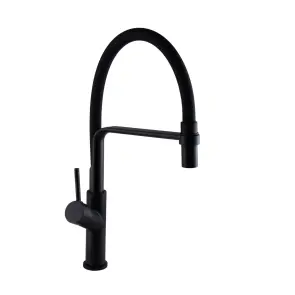 Смеситель для кухни Globus Lux DENVER Flex GDF-32-10-01 №1