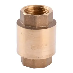 Клапан зворотного ходу води SOLOMON 3/4″ 6021-6020 пласт. шток №1
