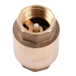 Клапан зворотного ходу води SOLOMON 3/4″ 6021-6020 пласт. шток №2