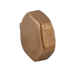 Заглушка 1″В латунна під пломбу LC501P OPTIMUM №1