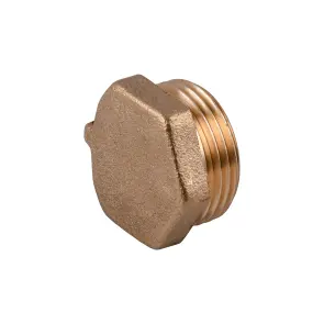 Заглушка 3/4″З латунна під пломбу LC402P OPTIMUM №1