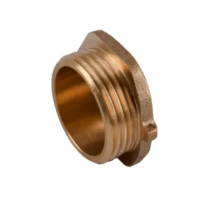 Заглушка 1″З латунна під пломбу LC502P OPTIMUM №1