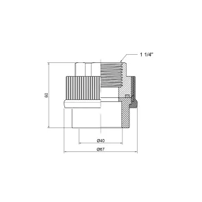 Муфта PPR Thermo Alliance 40х1" 1/4 ВР №2